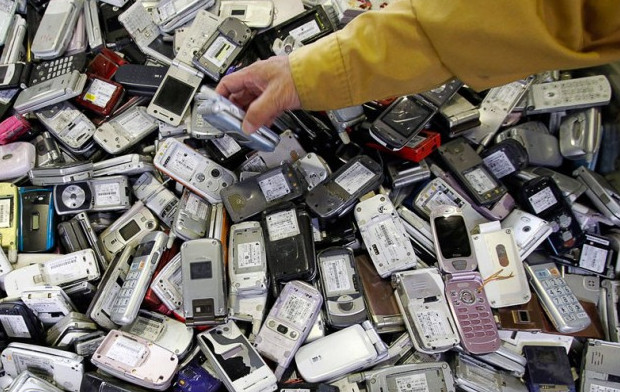 Финские учёные научились выделять золото из старых мобильников с помощью грибов - «Технологии»