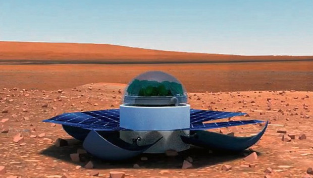 NASA планирует разбить первый сад на Марсе уже через 7 лет - «Космос»