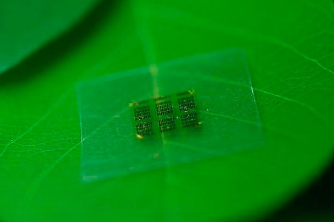 Ученые разрабатывают биоразлагаемые транзисторы - «Технологии»