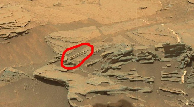 Марсоход Curiosity обнаружил «плавающую ложку» - «Космос»