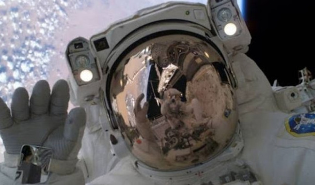 Подключайтесь к стримам NASA, чтобы отпраздновать 20-летний юбилей МКС - «Космос»