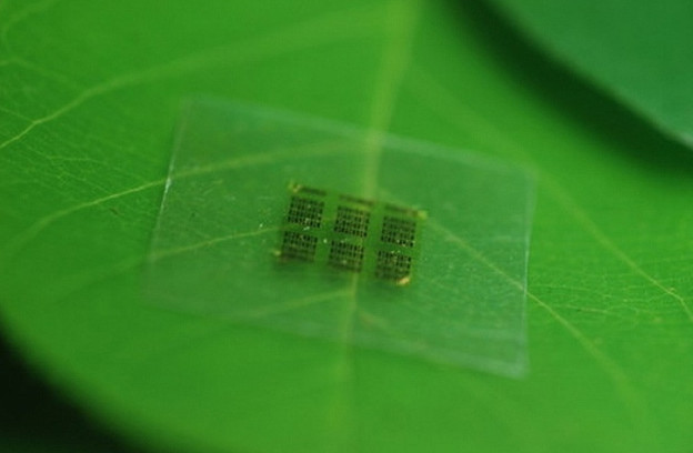 Микросхема из целлюлозы — теперь электронику можно делать из самого «зеленого» материала - «Экология»