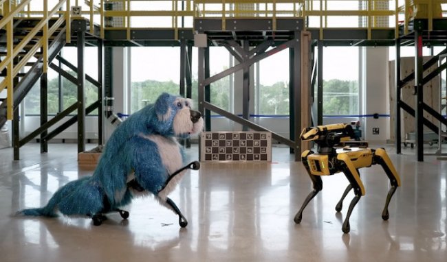 Робопес Spot компании Boston Dynamics наконец-то начал напоминать настоящую собаку - «Роботы»