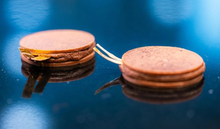 Роботорт RoboCake можно съесть — вместе с батарейкой, которая его питает - «Роботы»