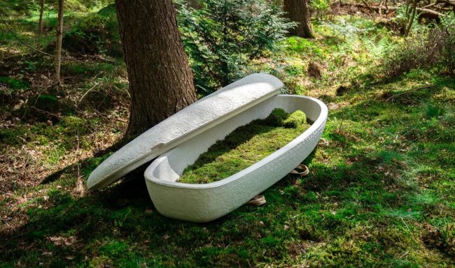 В Голландии разработали первый в мире биоразлагаемый гроб из грибов - «Технологии»