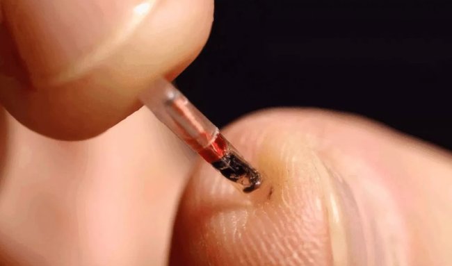 Штат Вашингтон собирается запретить компаниям принудительное чипирование работников - «Технологии»