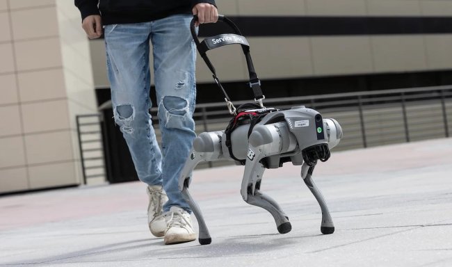 Роботы-поводыри справляются с работой лучше, чем специально обученные собаки - «Роботы»